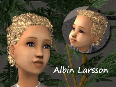 AlbinKind.jpg