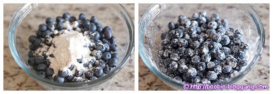 Dusted blueberries
