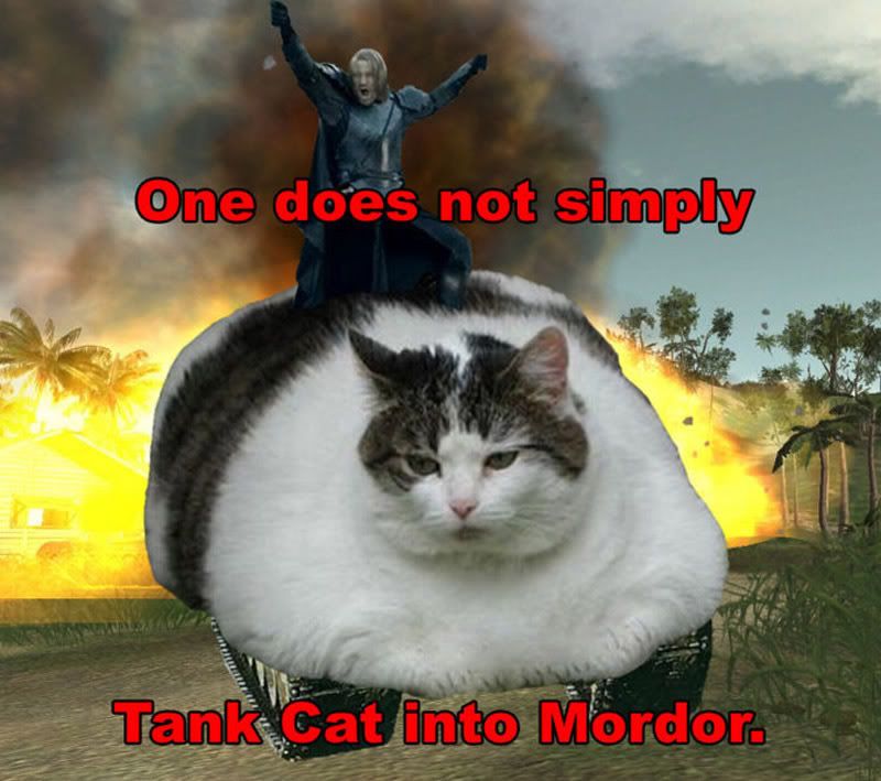 676px-One_Does_Not_Simply_Tank_Cat_.jpg