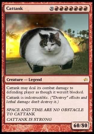 Cattank.jpg