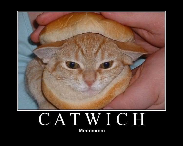 Catwich.jpg