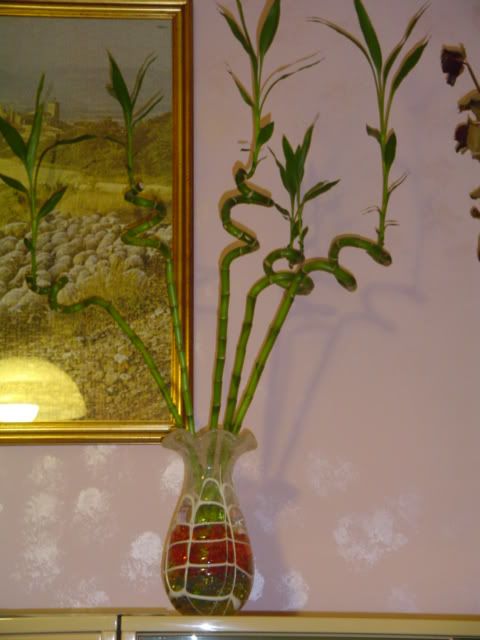 bamboo.jpg
