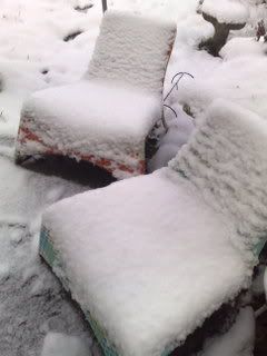 Comfy Snow Chair