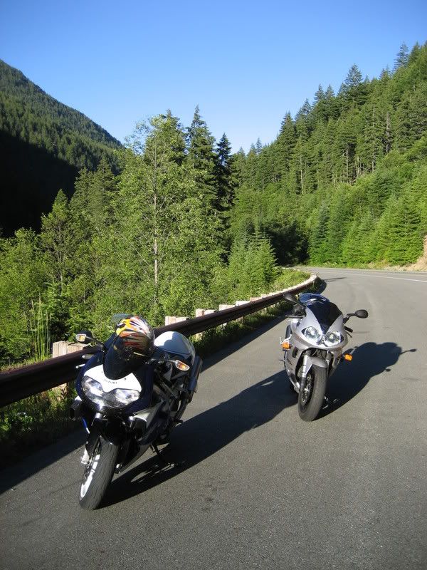 Suzuki TL1000 R Mirror Gsxr