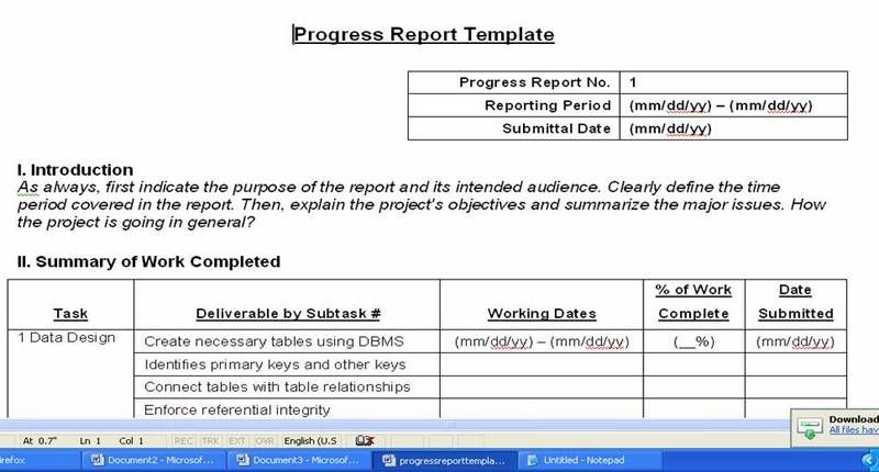 Progress Report Template