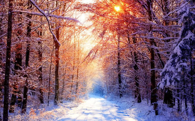 Winter_Wallpaper_III_by_emats.jpg