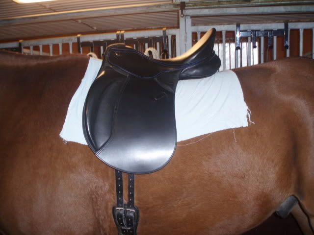 PA130002.jpg