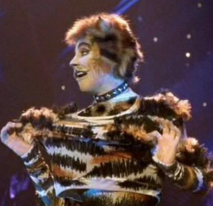 from the Cats musical is cats musical. from the Cats musical is
