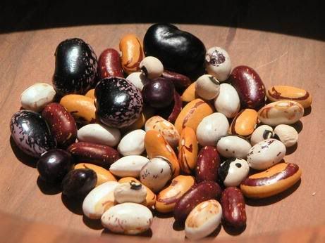 Assorted Dried Beans