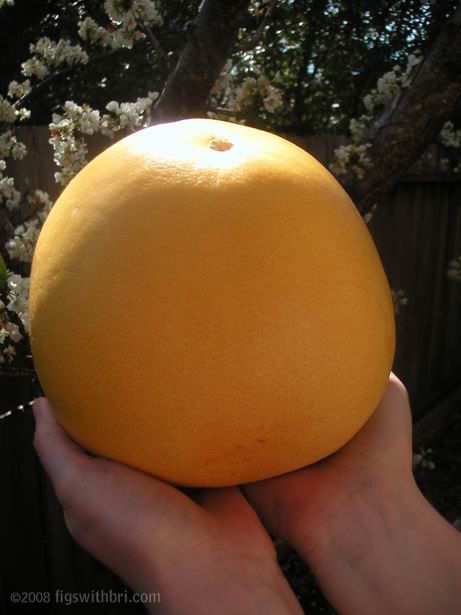 Enormous Pomelo