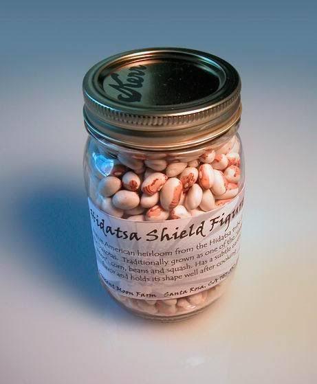 Hidatsa Shield Figure Beans