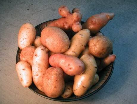 Bowl of Fingerling Potatoes