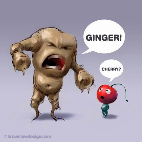 Marc's Ginger and Cherry Illustration