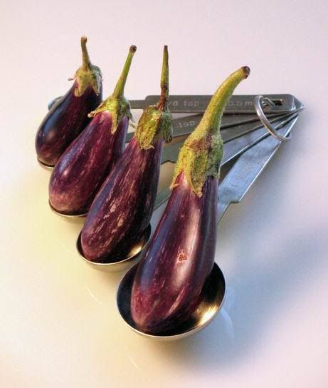 Fairy Tale Eggplant
