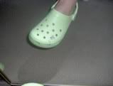 crocs.jpg