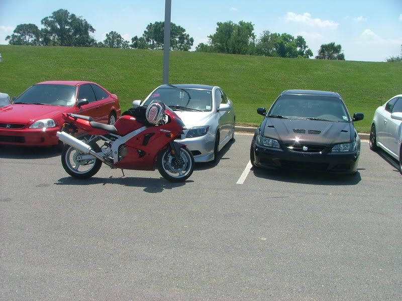 IPB Image