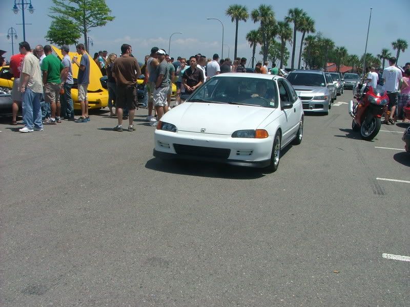 IPB Image