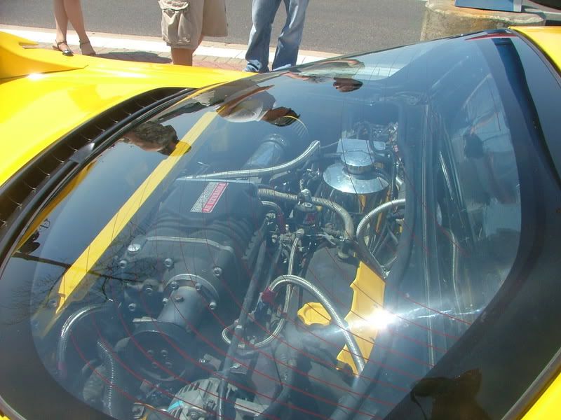 IPB Image