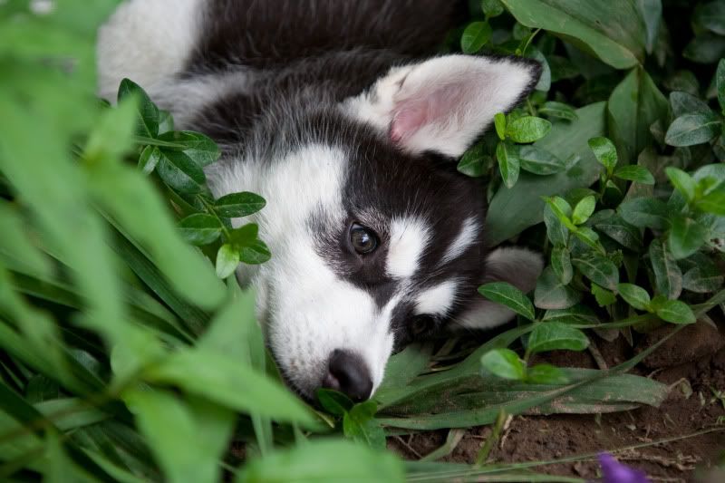 IMAGE: http://i14.photobucket.com/albums/a307/malcolm027/IMG_4149.jpg?t=1246776124