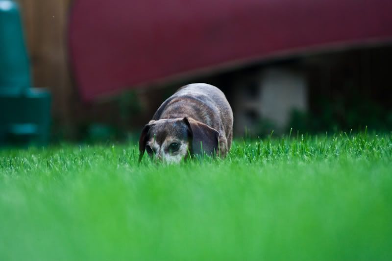 IMAGE: http://i14.photobucket.com/albums/a307/malcolm027/IMG_8655.jpg