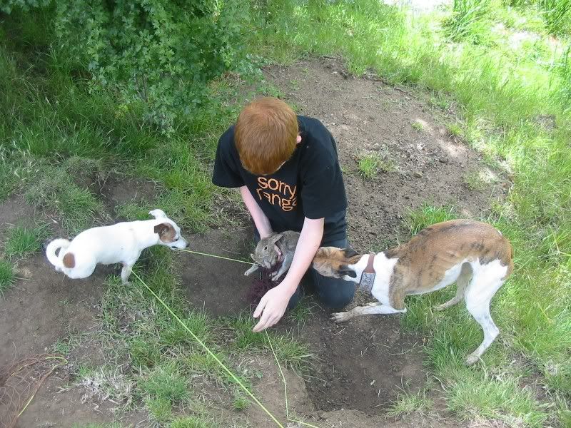 JoshuawithBunnyDogs061209.jpg