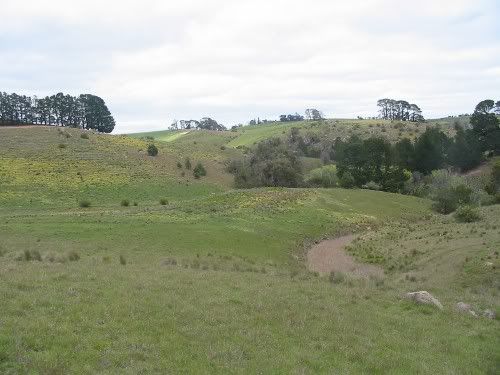 TheArea181009.jpg