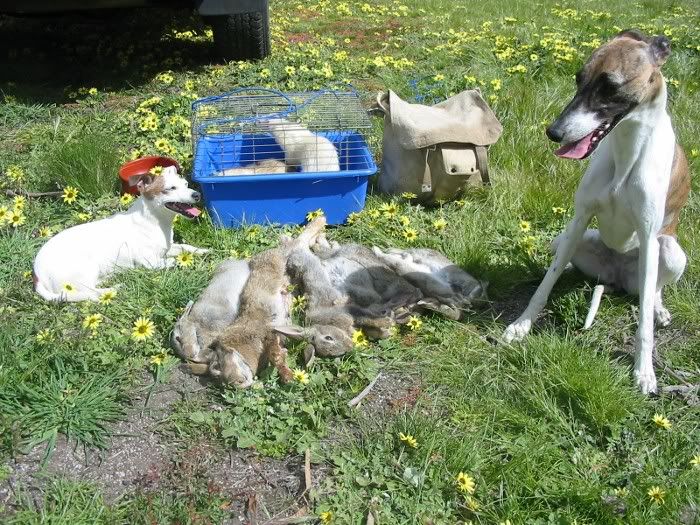TheHuntingCrewwiththeCatch111009700.jpg