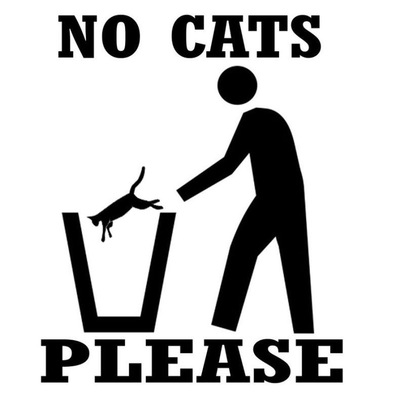 no_cats_please_by_creator_reloader-d32c7m5.jpg