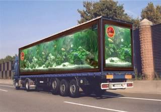 aquarium truck fish tank