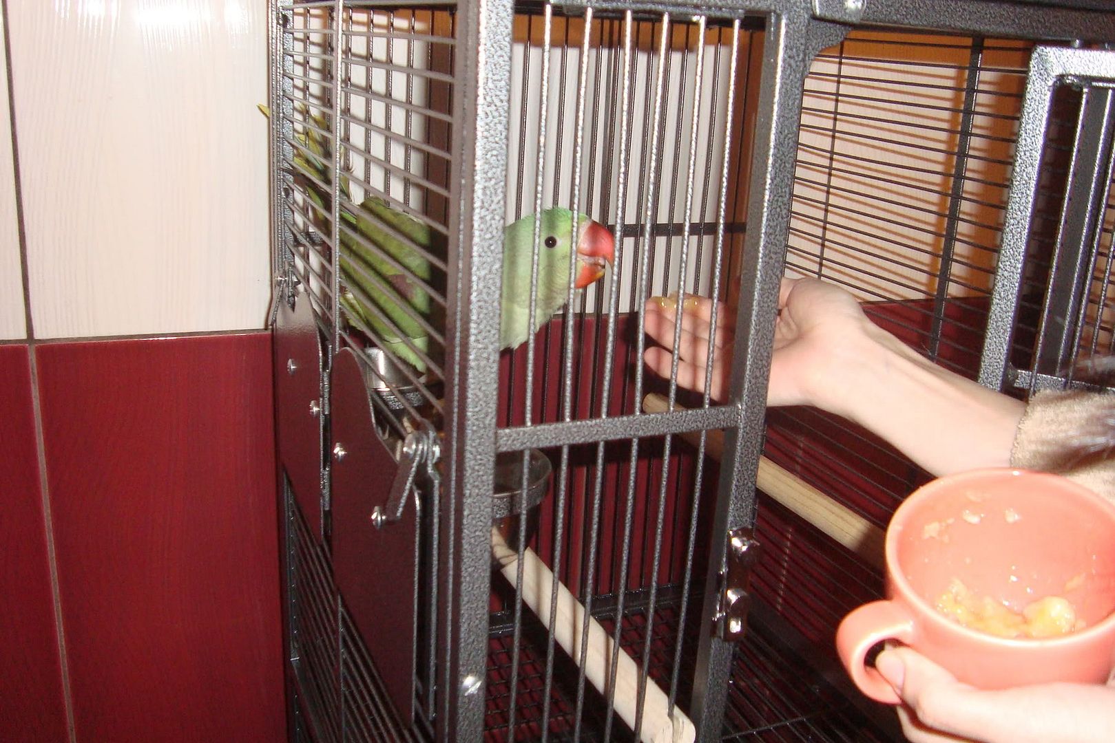 http://i14.photobucket.com/albums/a309/adycoke2/DSC01967.jpg