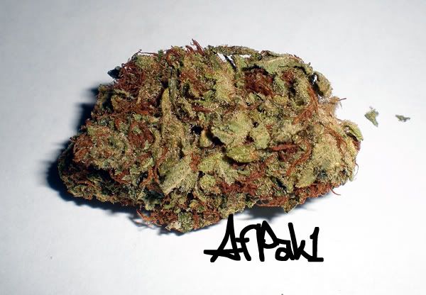 Afpak Kush