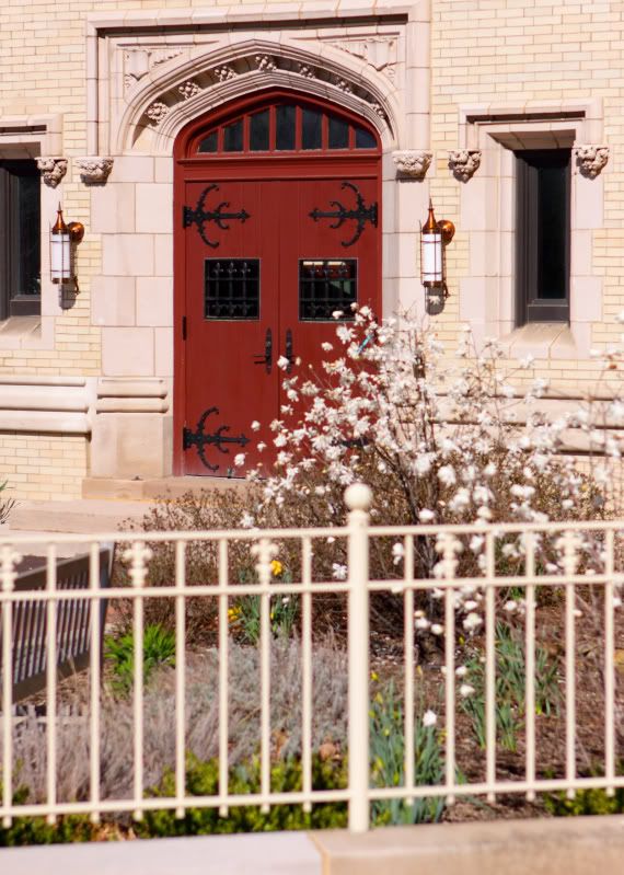 IMAGE: http://i14.photobucket.com/albums/a310/dsnyder160/DPP_0022TIF.jpg