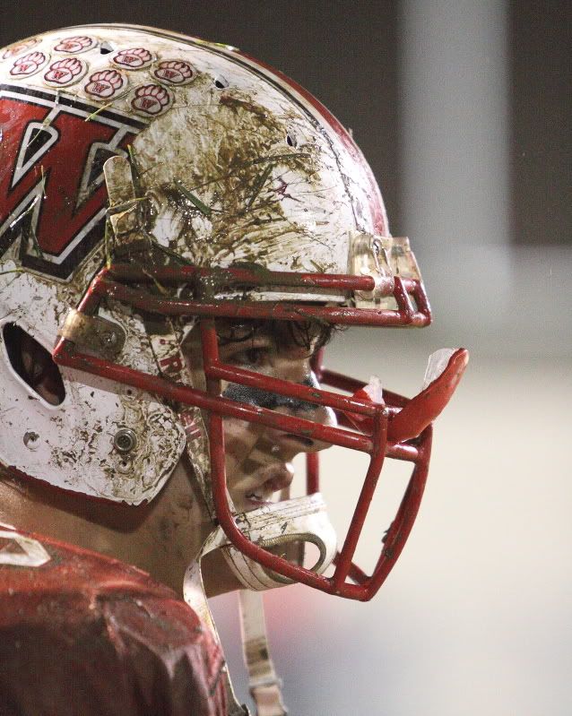 IMAGE: http://i14.photobucket.com/albums/a310/dsnyder160/DPP_14188.jpg