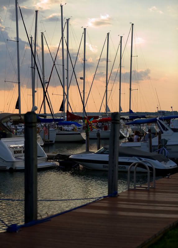 IMAGE: http://i14.photobucket.com/albums/a310/dsnyder160/IMG_4376.jpg