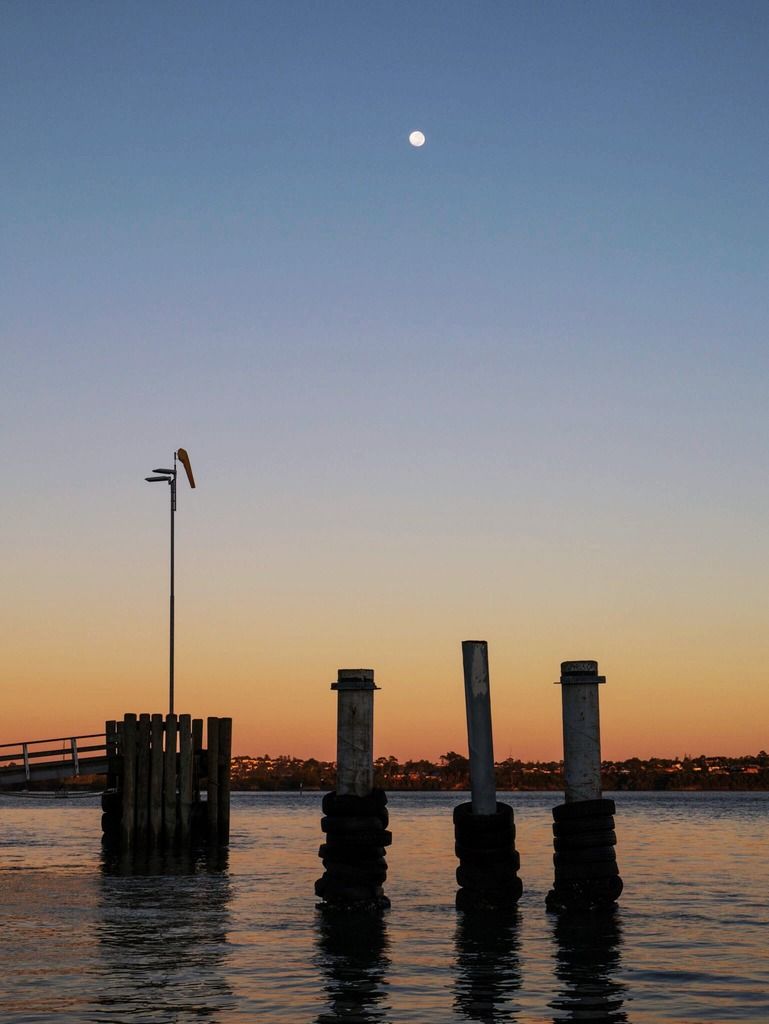 IMAGE: http://i14.photobucket.com/albums/a310/scotttnz/A8CA43DA-77DE-4EB2-958F-360BECD47D94_zps8wb1gmau.jpg