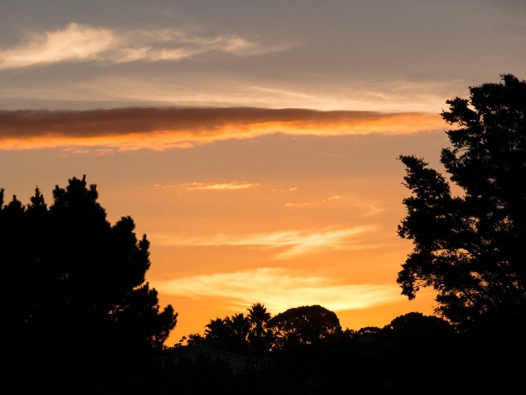 IMAGE: http://i14.photobucket.com/albums/a310/scotttnz/F05AC8A6-2553-4B93-9F9D-6D8D19B1B3E4_zpsqdrkwlkd.jpg