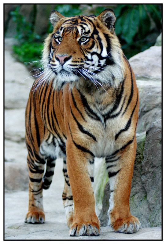 IMAGE: http://i14.photobucket.com/albums/a310/scotttnz/IMG_5013.jpg