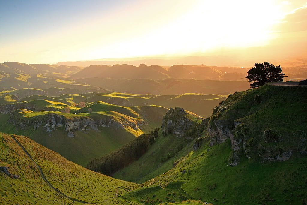 IMAGE: http://i14.photobucket.com/albums/a310/scotttnz/IMG_5362.jpg