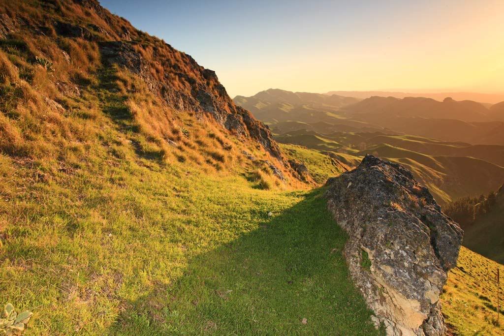 IMAGE: http://i14.photobucket.com/albums/a310/scotttnz/IMG_5389.jpg