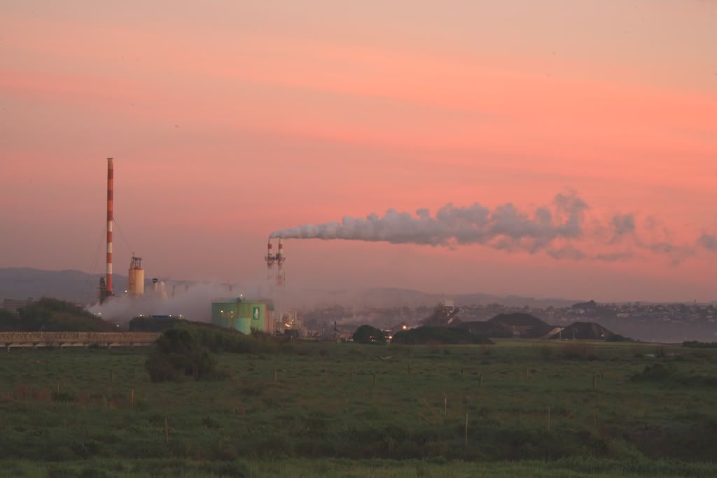 IMAGE: http://i14.photobucket.com/albums/a310/scotttnz/IMG_5406.jpg