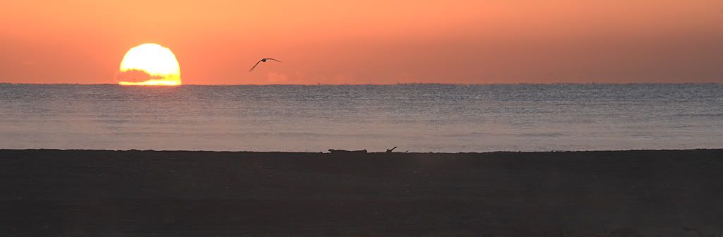 IMAGE: http://i14.photobucket.com/albums/a310/scotttnz/IMG_5417.jpg