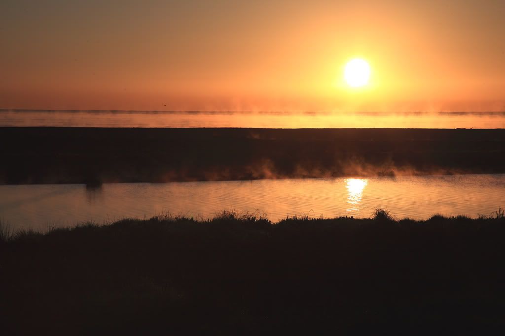 IMAGE: http://i14.photobucket.com/albums/a310/scotttnz/IMG_5452.jpg