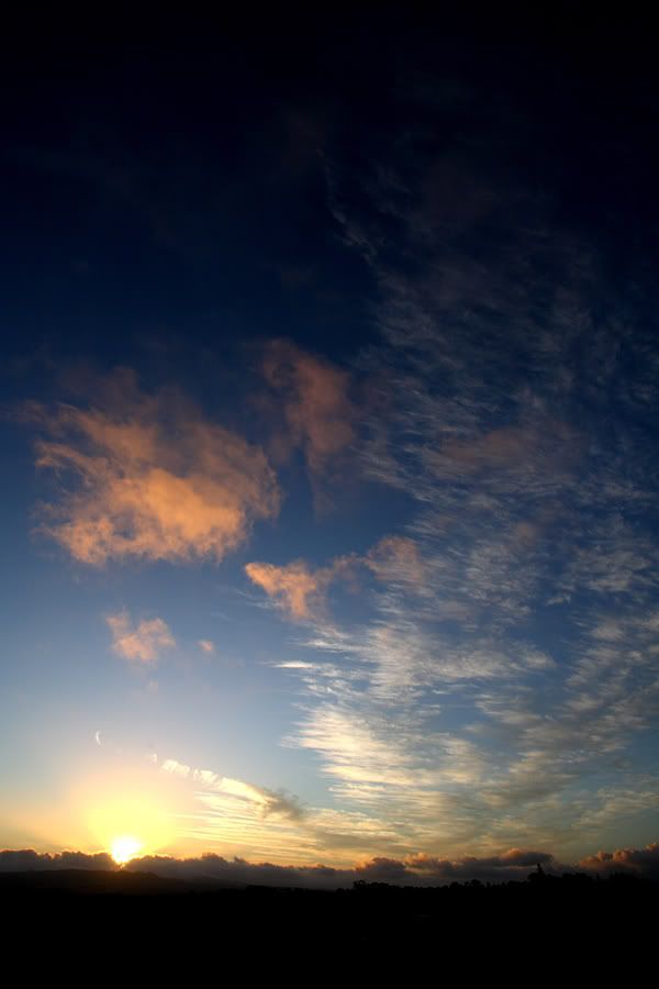 IMAGE: http://i14.photobucket.com/albums/a310/scotttnz/IMG_6019.jpg