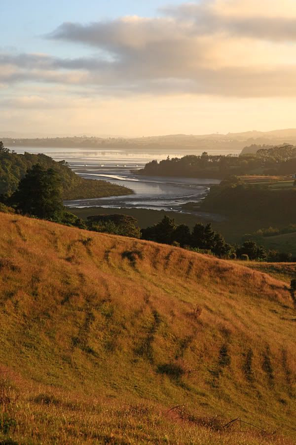 IMAGE: http://i14.photobucket.com/albums/a310/scotttnz/IMG_6048.jpg