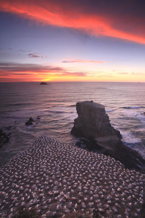 IMAGE: http://i14.photobucket.com/albums/a310/scotttnz/IMG_6348.jpg