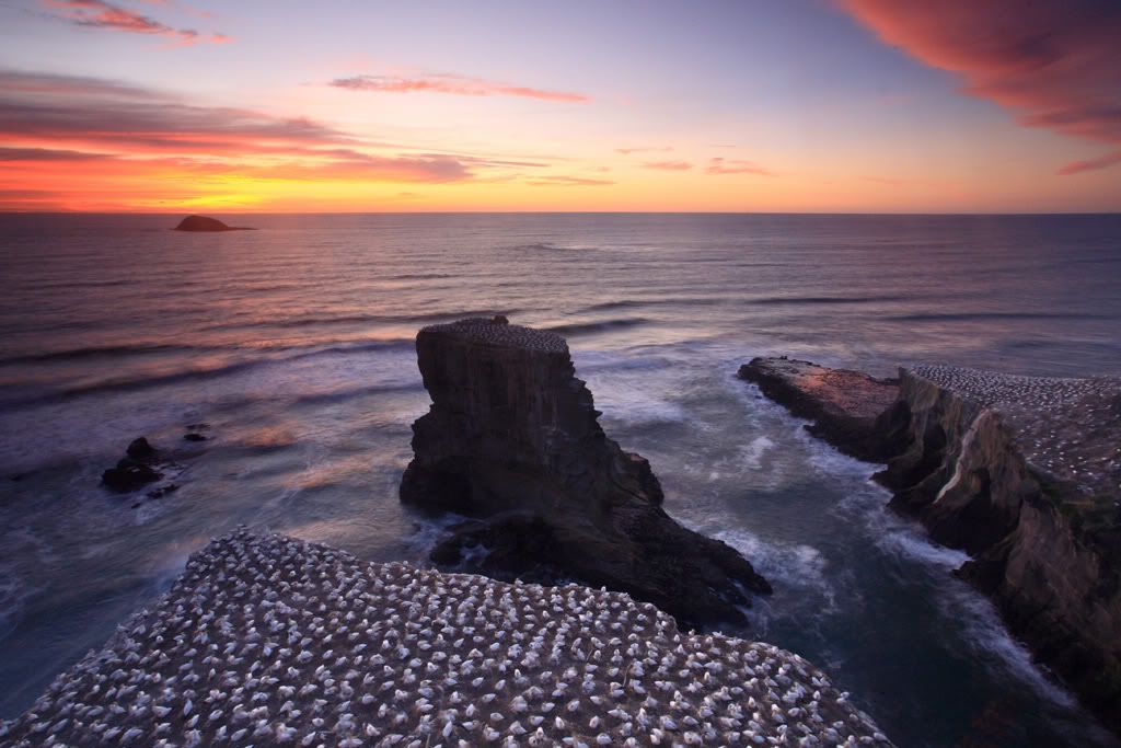 IMAGE: http://i14.photobucket.com/albums/a310/scotttnz/IMG_6359_1.jpg