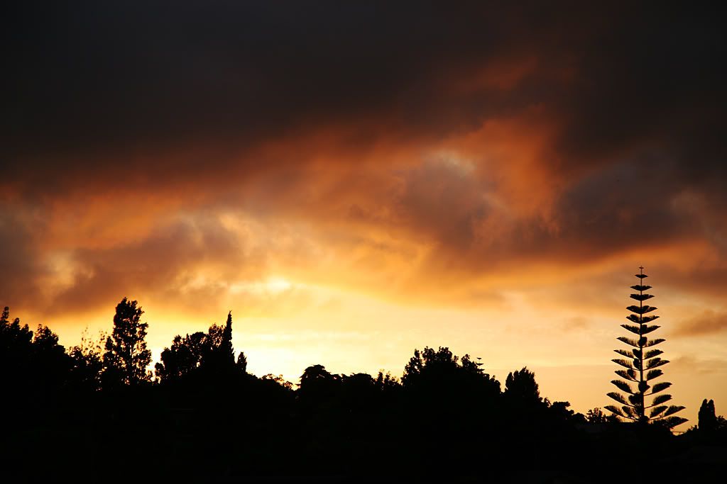 IMAGE: http://i14.photobucket.com/albums/a310/scotttnz/IMG_6451_1.jpg