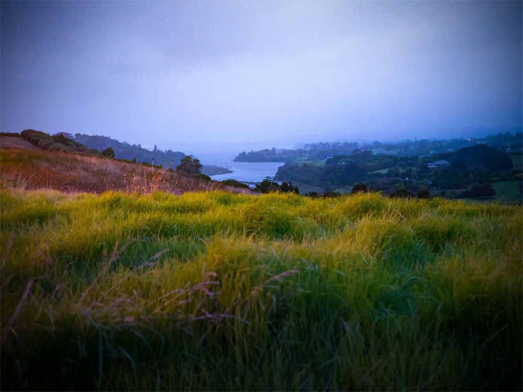 IMAGE: http://i14.photobucket.com/albums/a310/scotttnz/P1000497_zpsrdh8bdqo.jpg