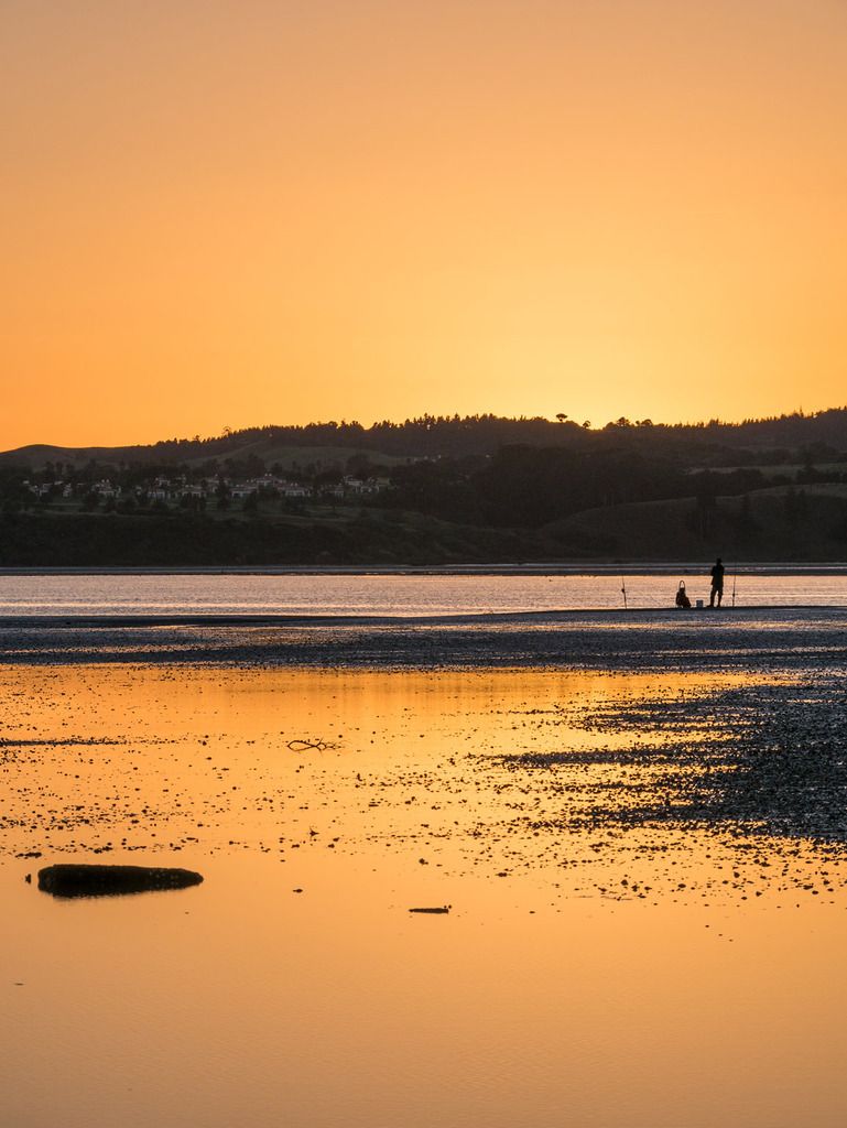 IMAGE: http://i14.photobucket.com/albums/a310/scotttnz/P1000819_zpsgrshiocv.jpg