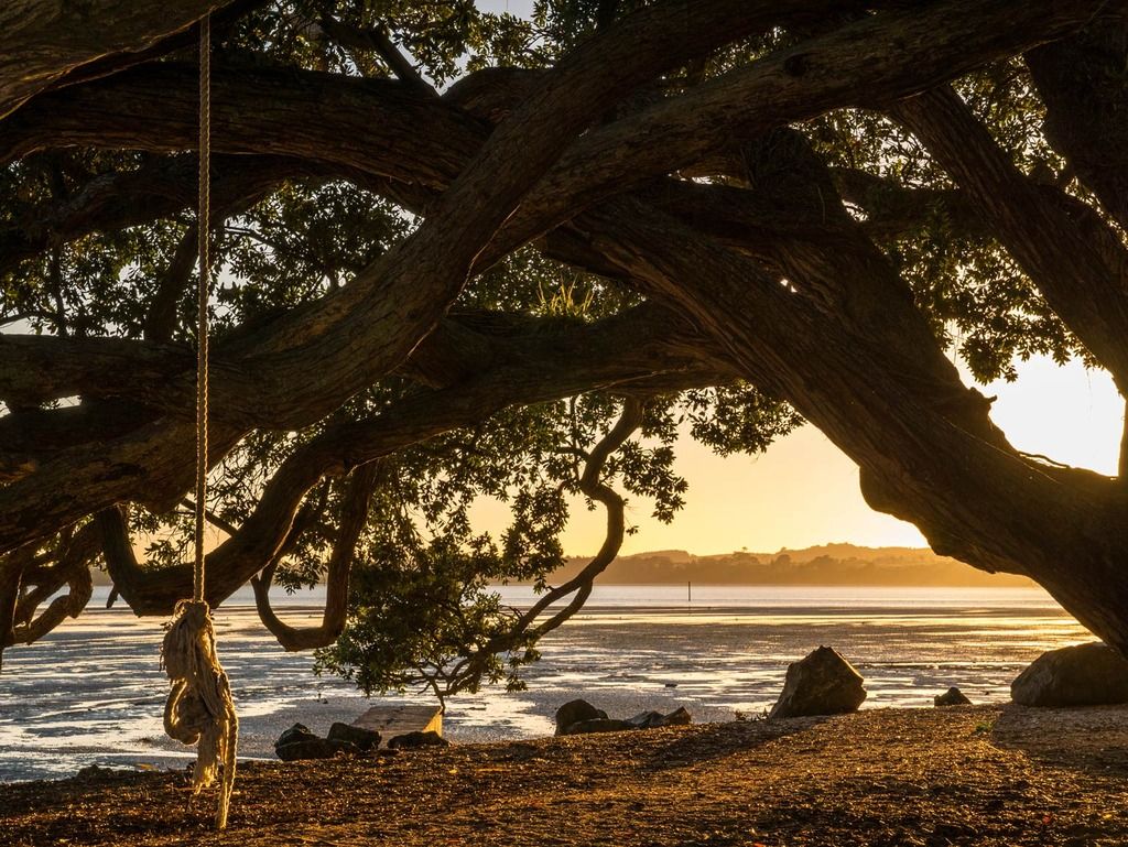 IMAGE: http://i14.photobucket.com/albums/a310/scotttnz/P1000890_zpsonj2jzf4.jpg